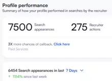 Manoj K naukri profile performance